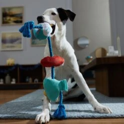 Frisco Hanukkah Celebration Plush With Rope Squeaky Dog Toy -Dog Supplies Sale 360986 PT3. AC SS1800 V1661874063