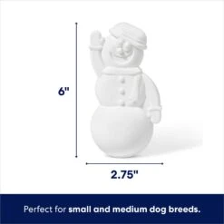 Frisco Nylon Snowman Dog Chew Toy, Mint Flavor -Dog Supplies Sale 368820 PT1. AC SS1800 V1694812399