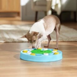 Frisco Seek & Discover Interactive Puzzle Dog Toy, Moderate -Dog Supplies Sale 506250 PT5. AC SS1800 V1674664929