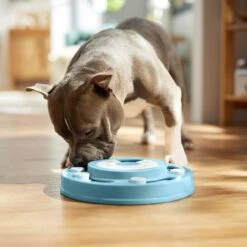 Frisco Two Tier Interactive Puzzle Dog Toy, Easy -Dog Supplies Sale 506370 PT5. AC SS1800 V1674671566