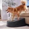 Frisco Plastic Easy Step Cat & Dog Stair -Dog Supplies Sale 542390 MAIN. AC SS1800 V1671829661