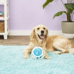 JW Pet Rockin Treat Ball -Dog Supplies Sale 55169 PT2. AC SS1800 V1530541353