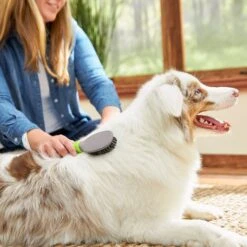 TropiClean Luxury 2 In 1 Papaya & Coconut Pet Shampoo & Conditioner & Frisco Cat & Dog Bristle Brush -Dog Supplies Sale 575094 PT7. AC SS1800 V1657660395