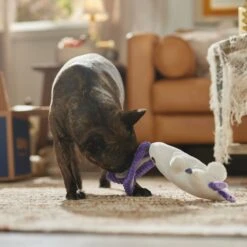 Frisco Halloween Bunny Ghost Plush Squeaky Dog Toy -Dog Supplies Sale 667878 PT3. AC SS1800 V1689340856