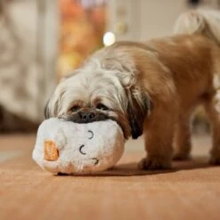 Frisco Halloween Trick Or Treat Ghost Plush Squeaky Dog Toy -Dog Supplies Sale 667974 PT3. AC SS1800 V1689350978