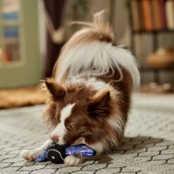 Frisco Halloween Bat Fetch Squeaky Tennis Ball Dog Toy -Dog Supplies Sale 668278 PT3. AC SS1800 V1689350166