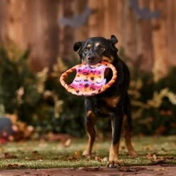 Frisco Halloween Ghost Swirl Fetch Flyer Dog Toy -Dog Supplies Sale 668294 PT3. AC SS1800 V1689278363