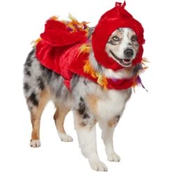 Frisco Flying Phoenix Dog & Cat Costume -Dog Supplies Sale 708150 PT3. AC SS1800 V1691084928