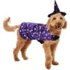 Frisco Cosmic Witch Dog & Cat Costume -Dog Supplies Sale 708982 MAIN. AC SS1800 V1689282565