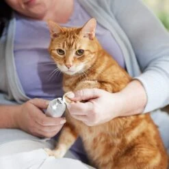 Rechargeable Cordless Cat & Dog 3-Speed Nail Grinder, White -Dog Supplies Sale 729774 PT5. AC SS1800 V1683147135