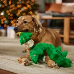 Frisco Holiday Elf In A Tree Bungee Plush Squeaky Dog Toy 11 Frisco Holiday Elf In A Tree Bungee Plush Squeaky Dog Toy -Dog Supplies Sale 739846 PT3. AC SS1800 V1695047600