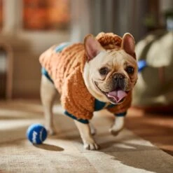 Frisco Wubby Textured Fleece Dog & Cat Hoodie W/ Pocket -Dog Supplies Sale 742510 PT7. AC SS1800 V1692377765