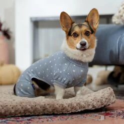 Frisco Cozy Waffle Knit Dog & Cat PJs, Starry Night -Dog Supplies Sale 743134 PT7. AC SS1800 V1692376038