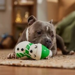 Frisco Holiday Snowman Latex Squeaky Dog Toy -Dog Supplies Sale 773870 PT3. AC SS1800 V1695044328