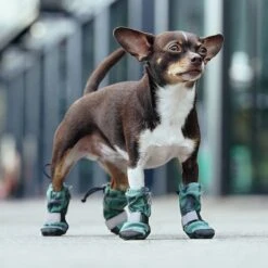 Canada Pooch Soft Shield Dog Boots -Dog Supplies Sale 803006 PT4. AC SS1800 V1682088022