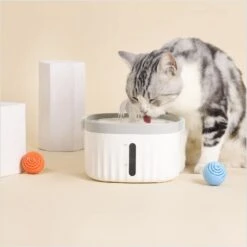 Hanamya Water Fountain Replacement Dog & Cat Filters, 4 Count -Dog Supplies Sale 954158 PT3. AC SS1800 V1694466046