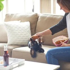 Frisco Corndog Interactive Plush Squeaky Dog Toy & Frisco Guacamole Hide & Seek Puzzle Plush Squeaky Dog Toy -Dog Supplies Sale 962086 PT3. AC SS1800 V1694782979