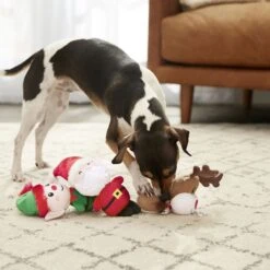 Frisco Holiday Santa's Helpers Plush Squeaky Dog Toy, 3 Count & Frisco Holiday Tree Thin Plush Squeaky Dog Toy -Dog Supplies Sale 986222 PT4. AC SS1800 V1698258463